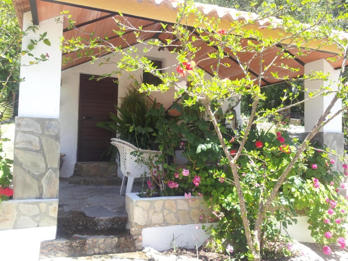 Casa El Cerro Villa El Bosque Buitenkant foto